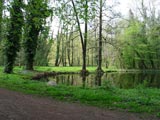 romantischer Park am Schlo derer von Veltheim