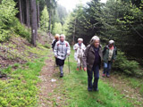 Aufstieg ber Blechsteig zur Bergkuppe Groe Grube (rd. 250 Hhenmeter)