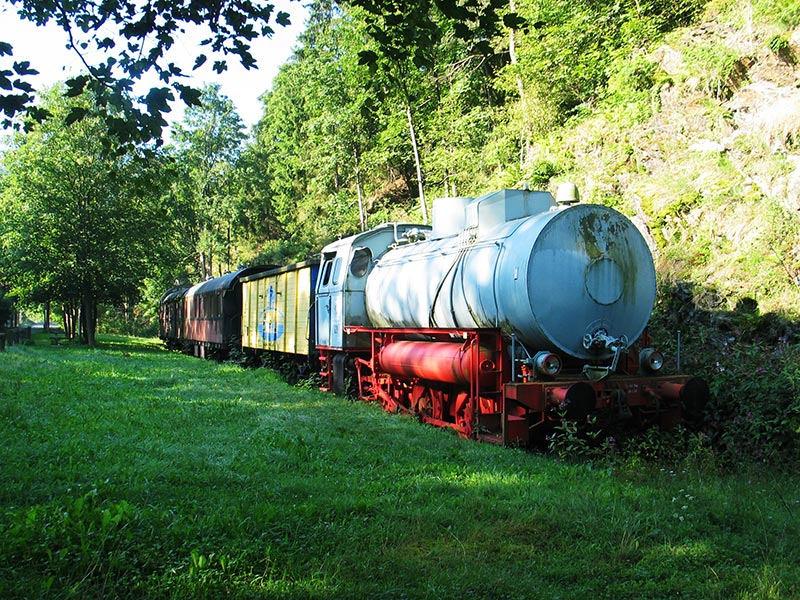historischer Zug auf dem Bahnhof Lichtenberg der H?llenbahnstrecke Blankenstein - Bad Steben