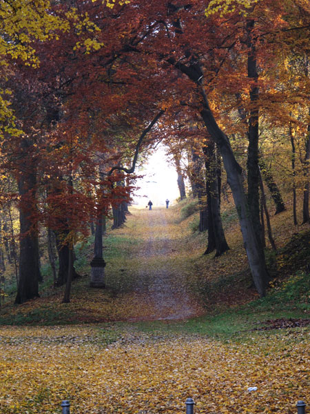 herrliches Herbstlaub im Schlo?park Sondershausen