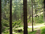 die Teufelskche mitten im Wald nach Tirschenreuth - Granit in Wollsackverwitterung