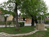 neuer Dorfbrunnen in Tautenburg neben der 500-jhrigen Linde