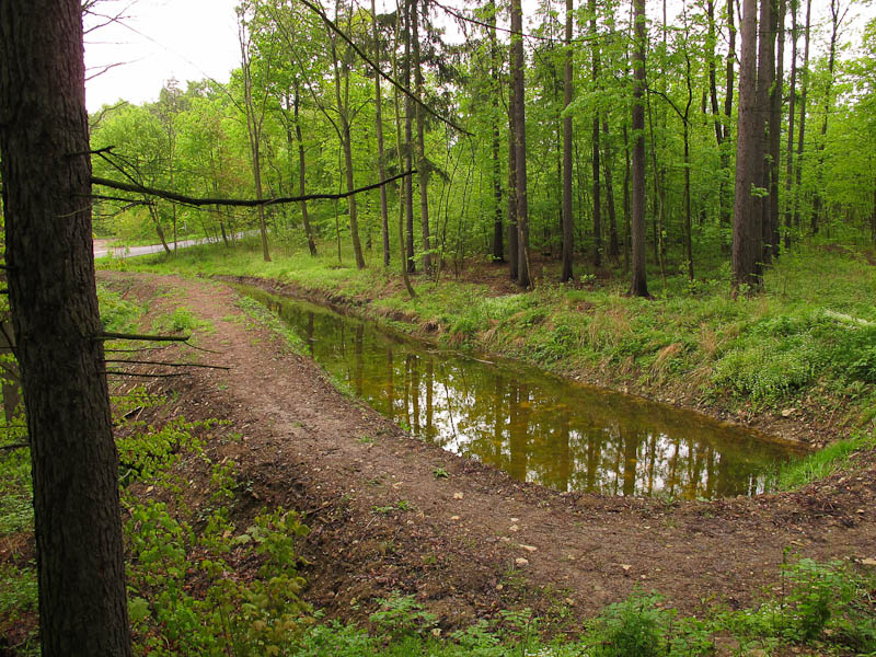 die ehemalige Panzerschwemme ist heute ein Biotop im Walde