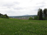 Frhlingswiese westlich von Heyda - Blick Richtung Willinger Berg