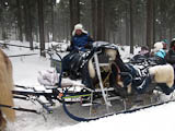 schne Schlitten transportieren die Touristen