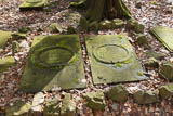 die Gräber von Johann Christoph GutsMuths und seiner Frau Sophie ...  (207K)