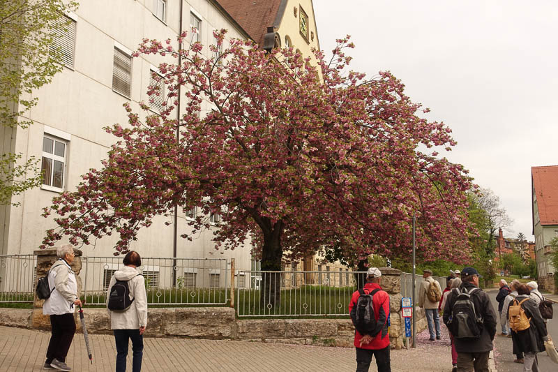 Der Frühling im ehemaligen Universitätsgelände in Jena