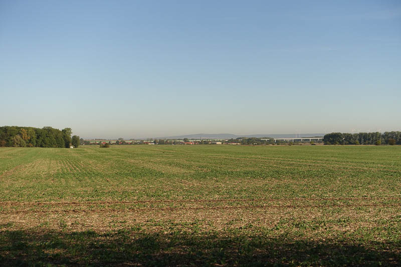 Blick über riesige Felder zur neuen ICE-Strecke Halle-Erfurt-Nürnberg!