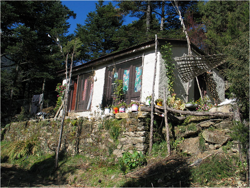 Nadelb?ume, Gem?se, Minze, Blumen, Rosen, alles w?chst wie aus einem Guss.