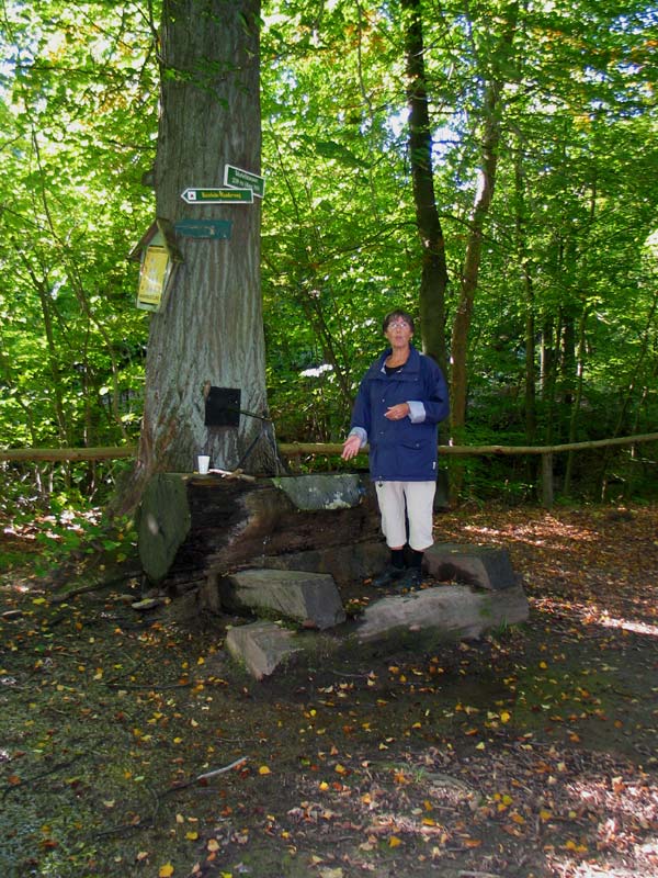 Marie-Luise am Marienbrunnen - er flo? aus dem Baum