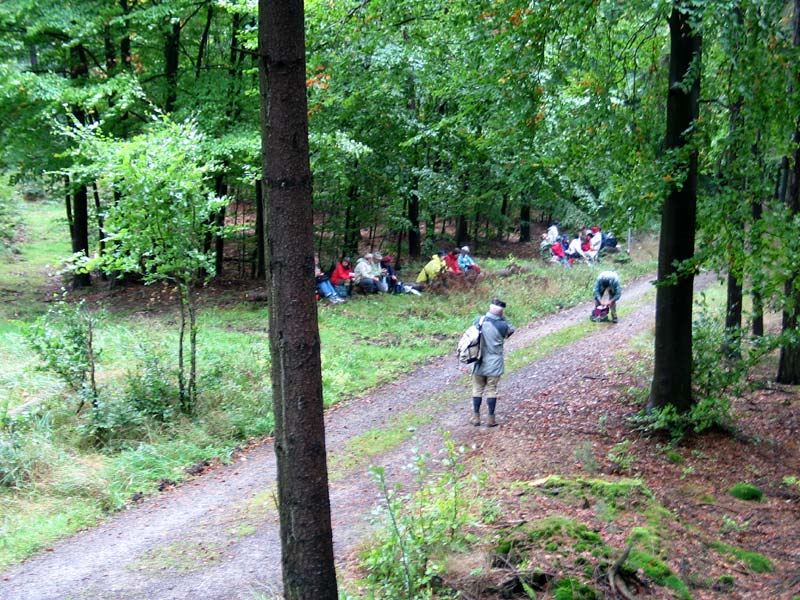 Picknick im Walde - Richtung Altenstein