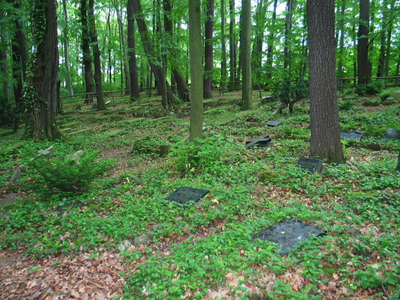 historischer Waldfriedhof der Salzmannschule in Schnepfenthal