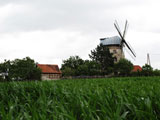 die Holländerwindmühle neben Altenbeichlingen - eine Landschaftsmarkierung