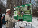 Erläuterungen zu Naturwaldparzellen im Ettersburger Forst