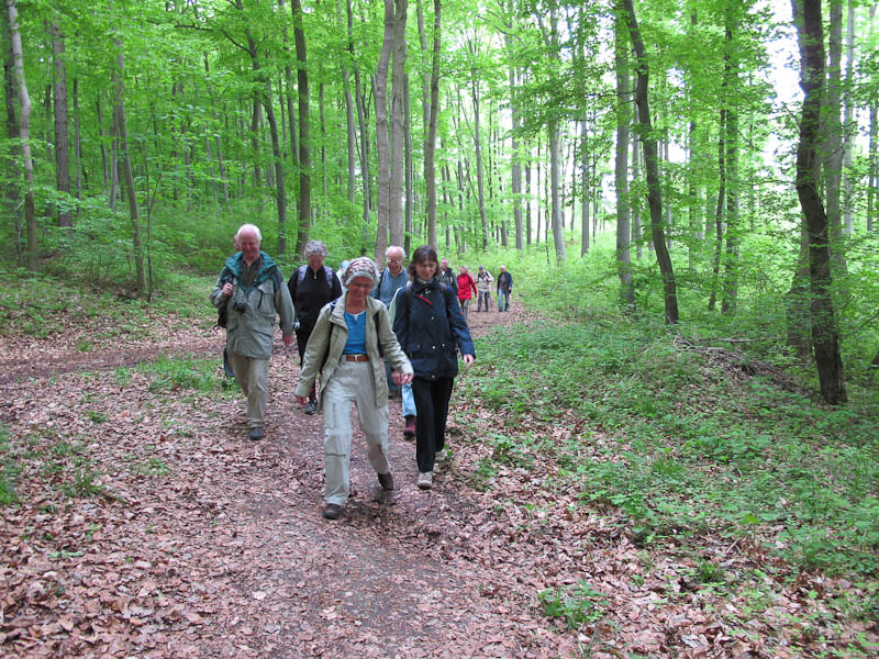 fr?hliches Wandern im Buchenwald nach Dorndorf-Steudnitz