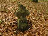 ein Sühnekreuz im Wald auf dem Halsberg neben Hügelgräbern