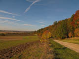 der Weg ist einfach herrlich mit buntem Herbstlaub und blauem Himmel - gut gemacht Eckardt!