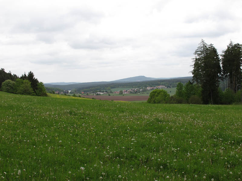 Fr?hlingswiese westlich von Heyda - Blick Richtung Willinger Berg
