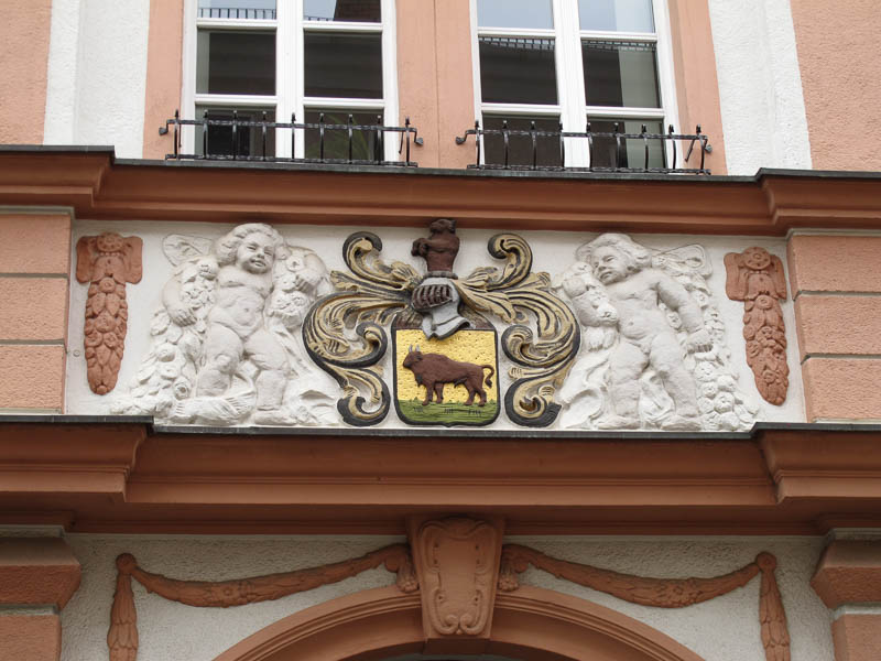 am Rathaus Schleiz findet man das Wappen der Stadt mit dem Wisent (Hinweis auf den Flu? Wisenta)
