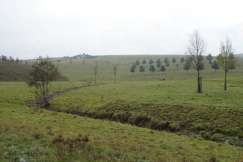 Die "Neue Landschaft" entstand bis zur BUGA 2007