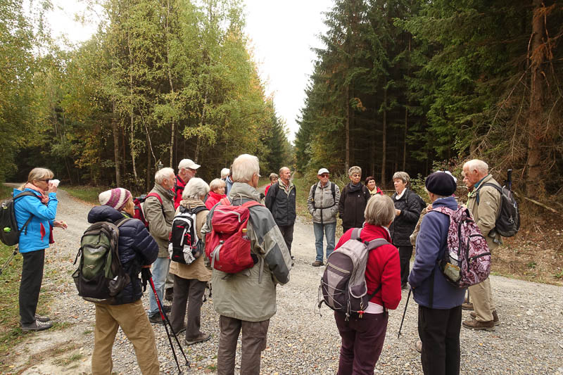 viele Erläuterungen zum Waldumbau durch Thüringen-Forst von Dr. Barbara Schulze vor Ort!