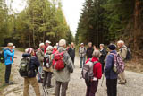 viele Erläuterungen zum Waldumbau durch Thüringen-Forst von Dr. Barbara Schulze vor Ort!